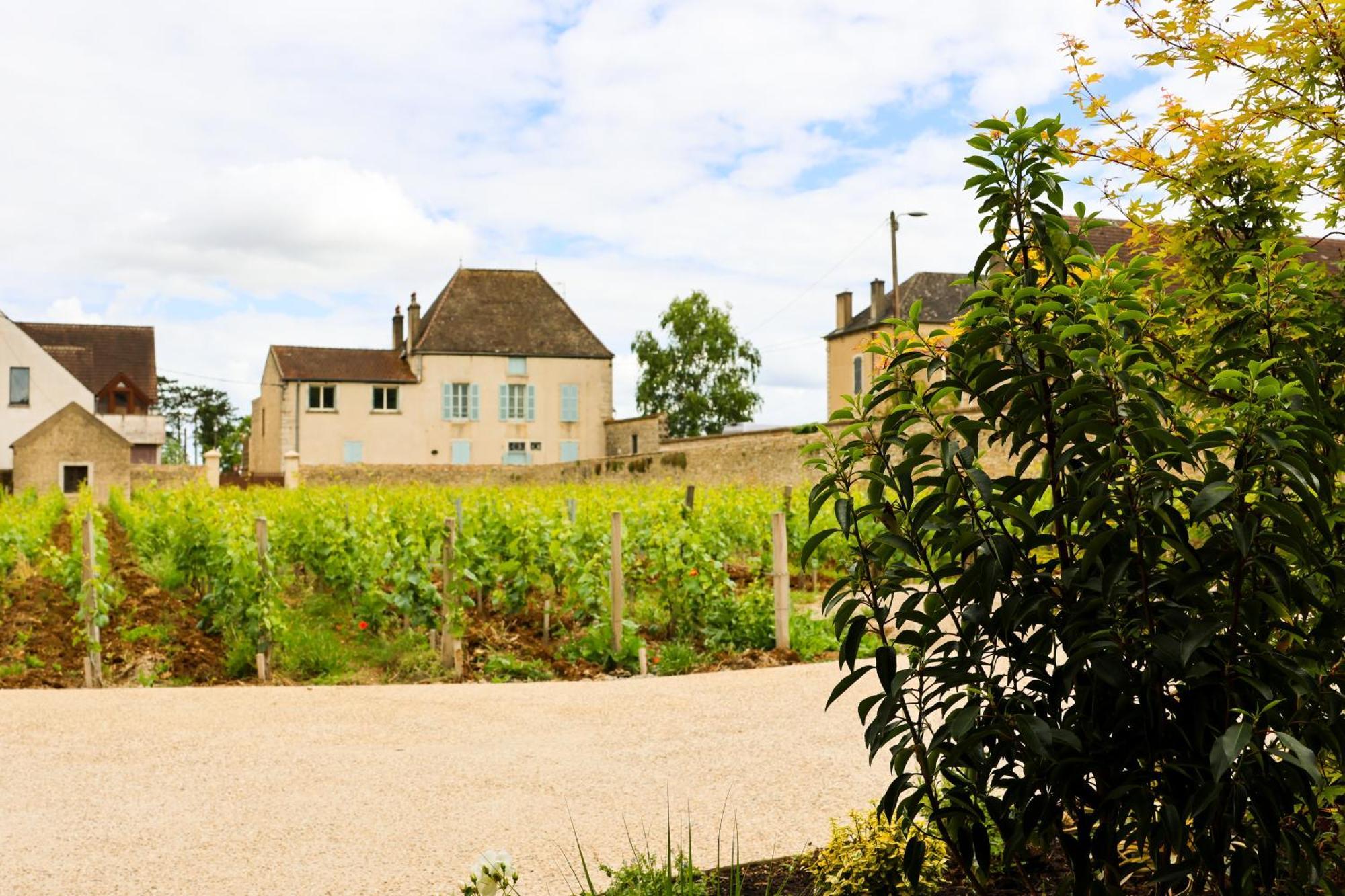 Hotel Particulier Adult Only Les Reveries Du Clos Spa Degustation Et Diner Sur Reservation Pommard Exterior foto